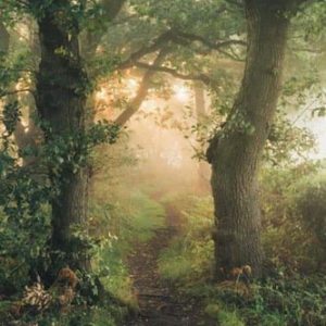 Regresión vidas pasadas